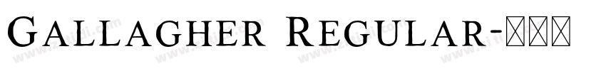 Gallagher Regular字体转换